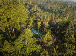 Daydream Lodge